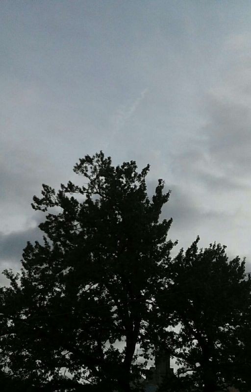 Победа + 9 жизней