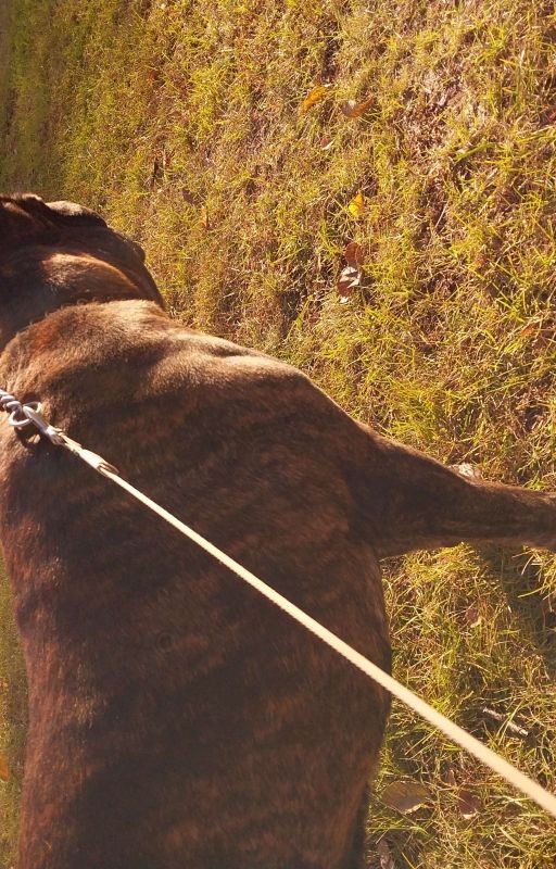 Weekdays of veterans of 1-2 courses