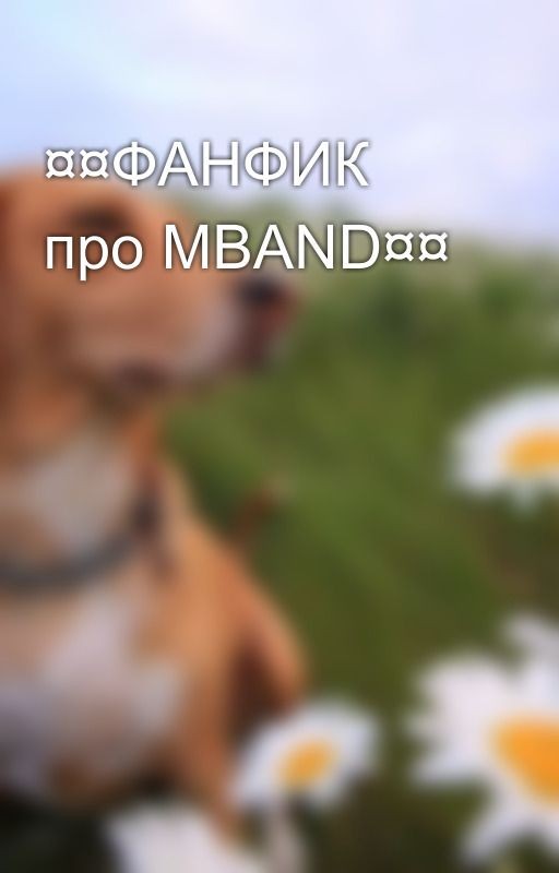 ¤¤ФАНФИК про MBAND¤¤