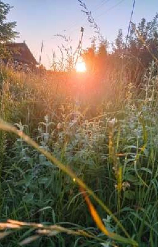 Негласная королева