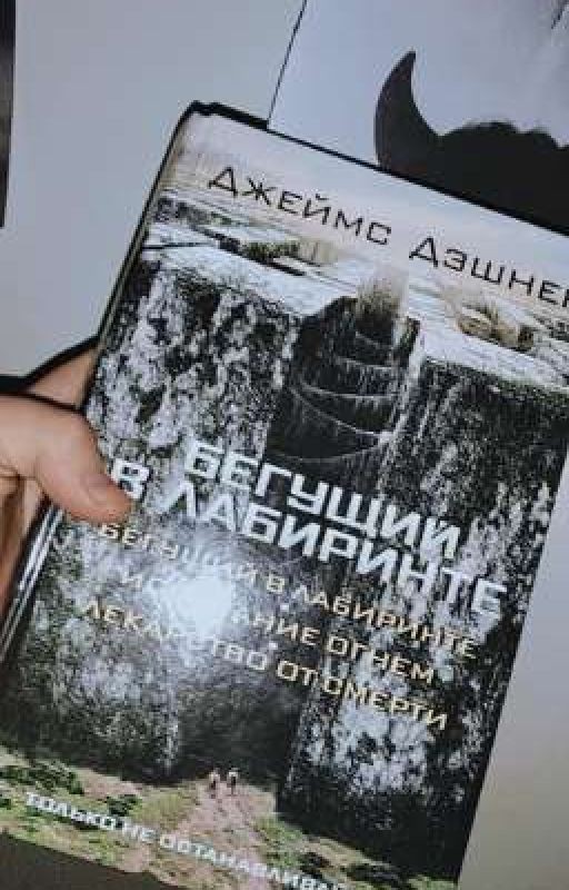Бегущий в лабиринте