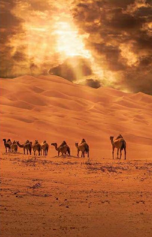 Песчаная Буря