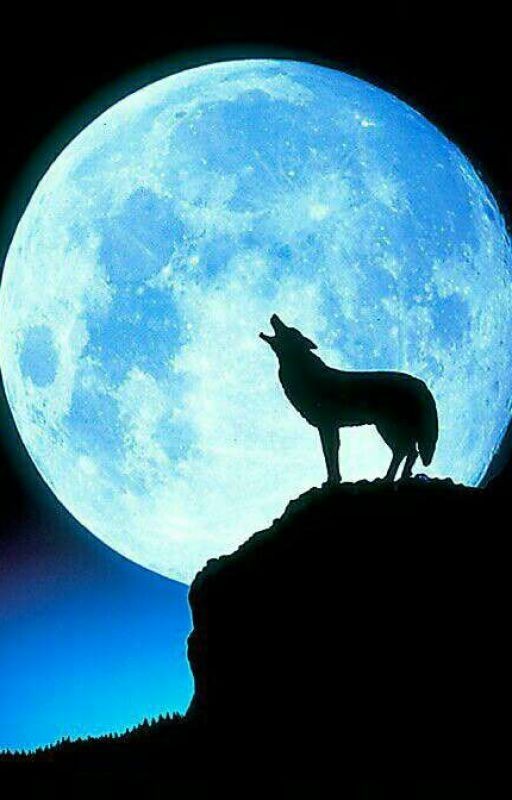 Одиссея по мирам. Оссия