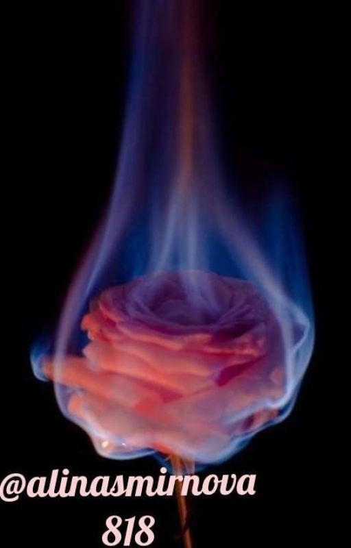 Всё Перевернуть