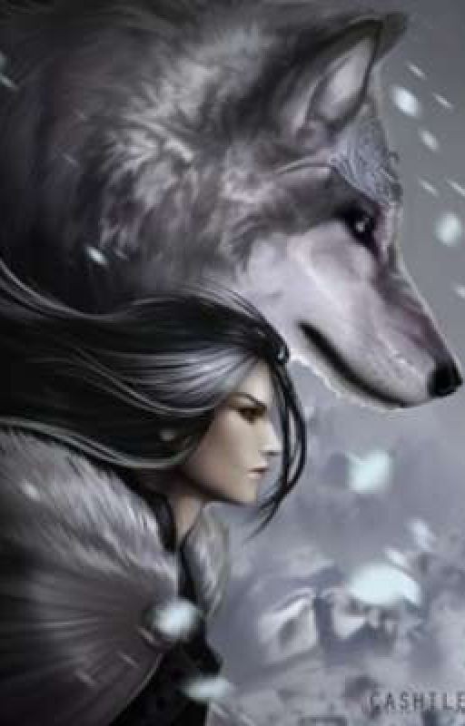 По обложке не судят