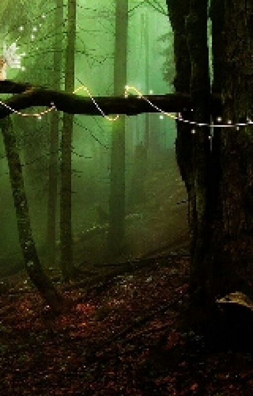 Проход к феям