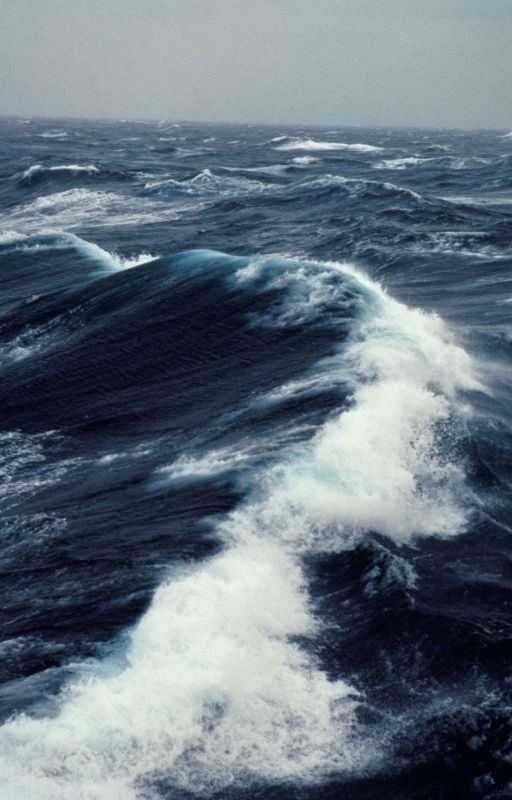 Существо внутри