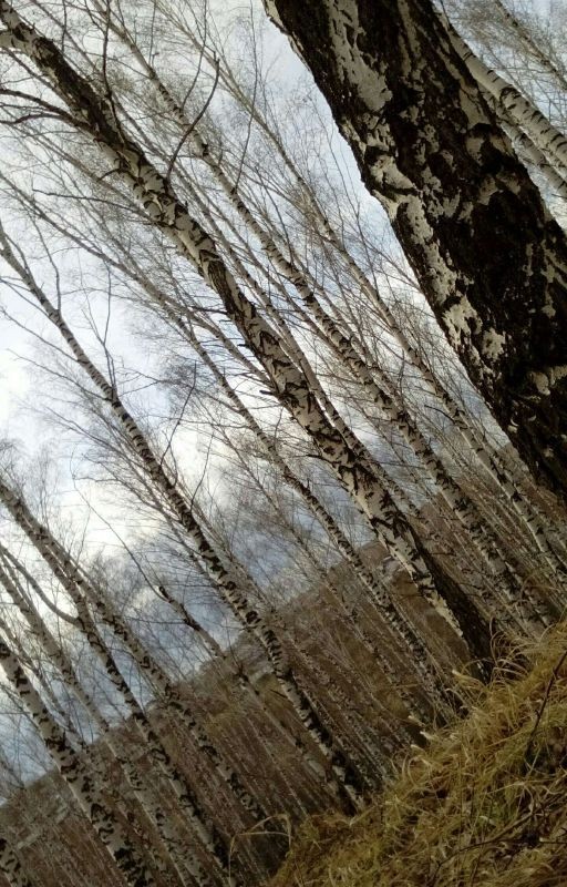 Необыкновенный Шарм