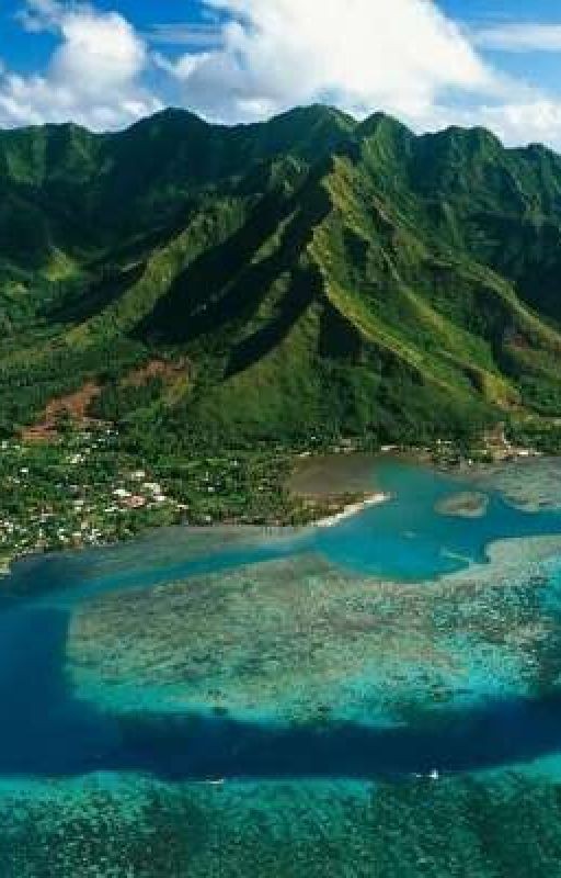 Судьбы забытых на краю мира