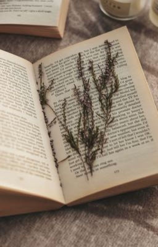 КОГДА НЕ ЗНАЕТЕ, ЧТО ПРОЧИТАТЬ