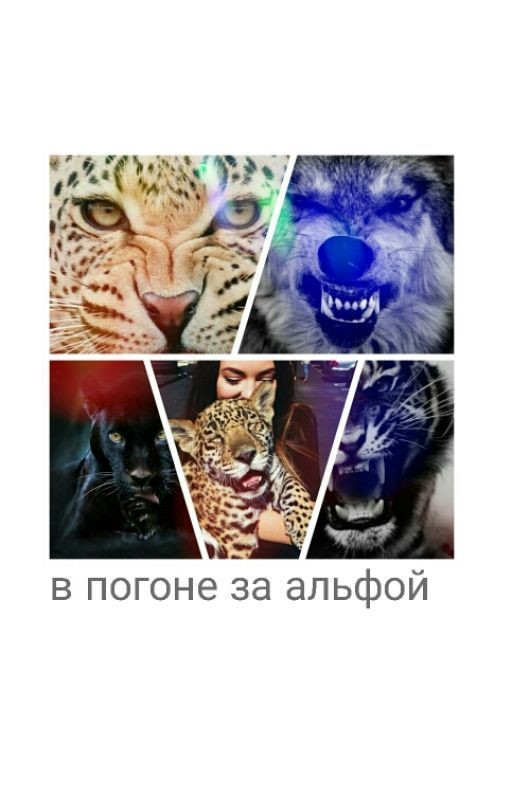 в погоне за альфой