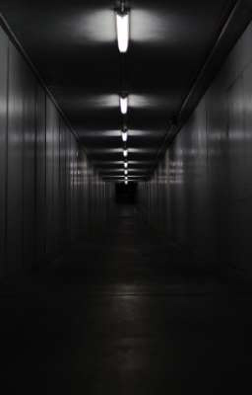 Загадочный коридор скрытых тайн