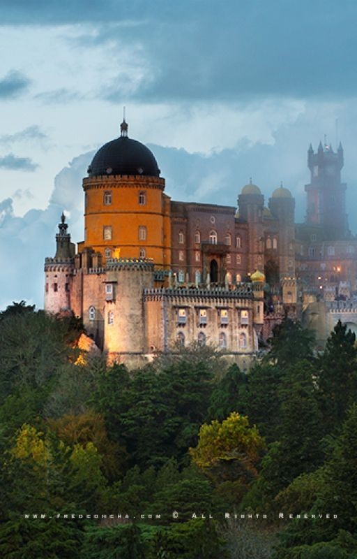 Студентка академии познаний 