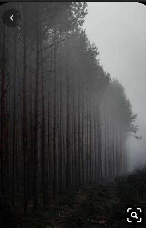 Крипипаста и девочка из ФБР