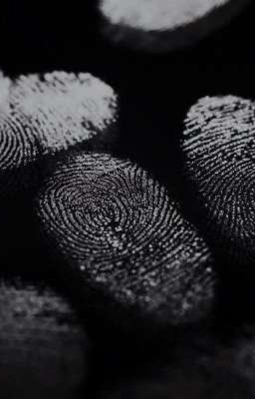 Тень в городе: загадка убийства