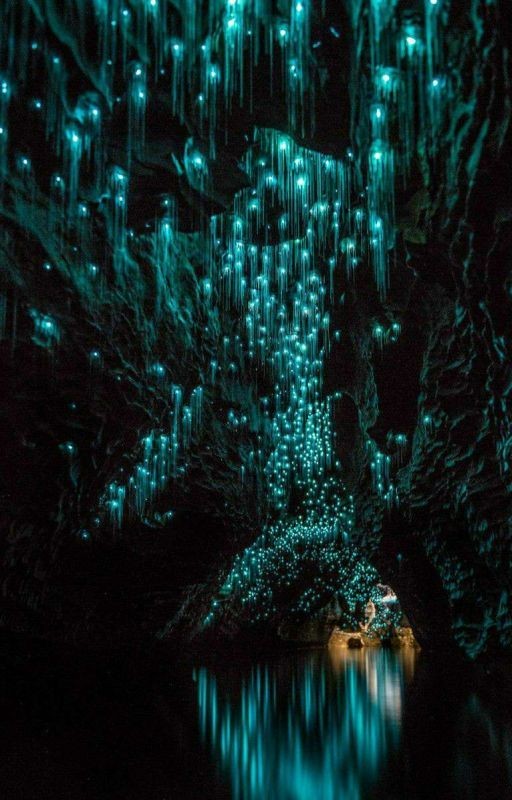 "ОСОЗНАННОЕ СНОВИДЕНИЕ...ЗА 7 ДНЕЙ!" Томас Бредли