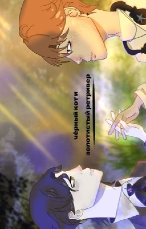 черный кот и золотистый ретривер