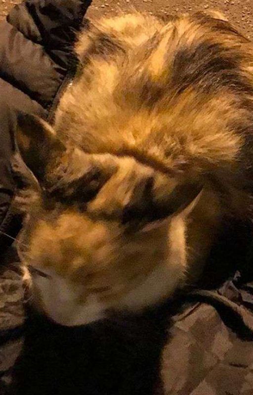 пока бьётся твое сердце