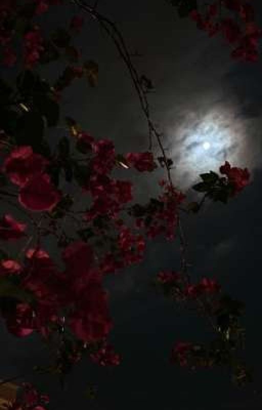 Тень кардинальского прошлого