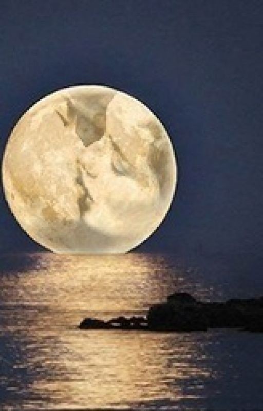 Курортный роман