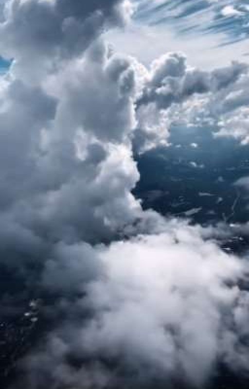 В небеса за райским древом