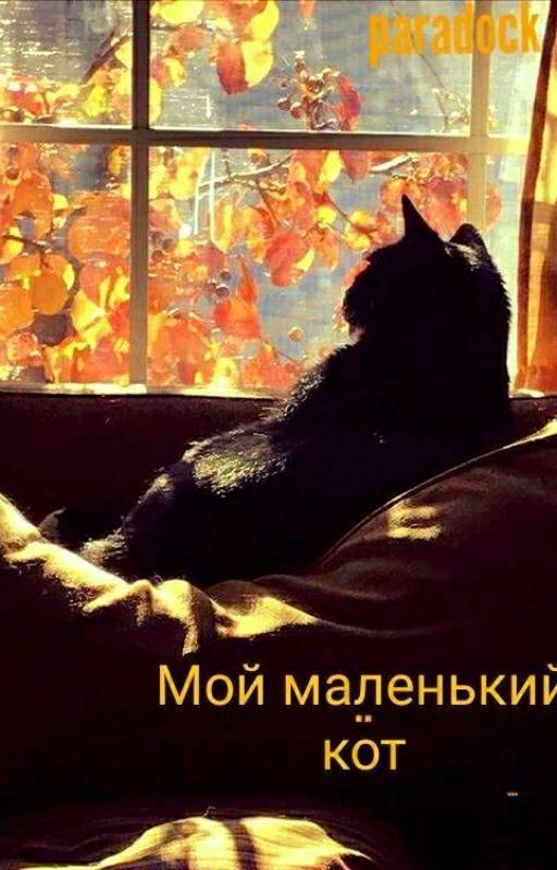 Мой маленький кот