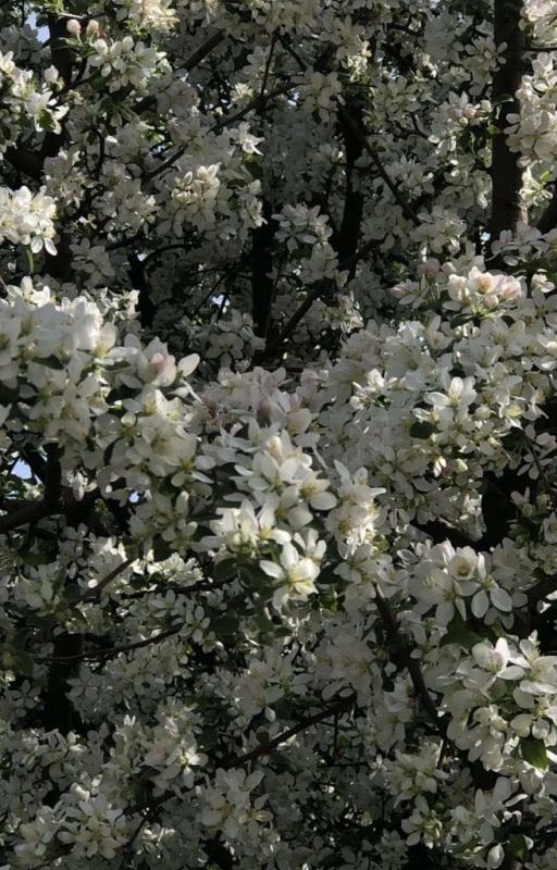 (a̶n̶t̶i̶-)depression code