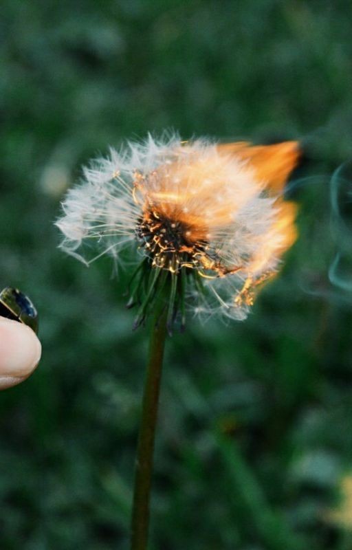 Кофе С Запахом Осени