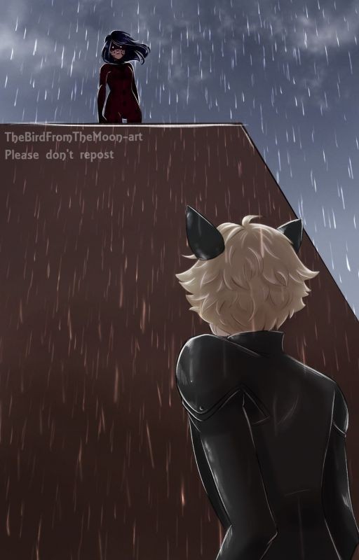 Сам виноват