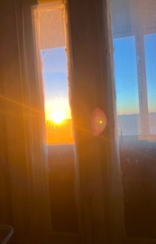 Сбежавшие на остров/с острова?