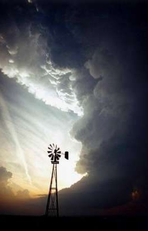 Чашка кофе на крыше Синтракорп