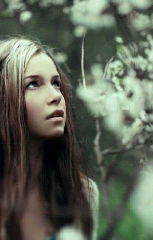 Зачарованный лес