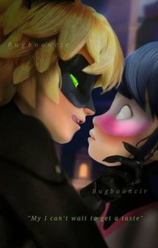 Роман противоположностей..)🐱🐭