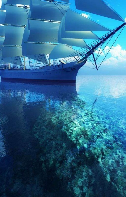 Записки мореплавателя