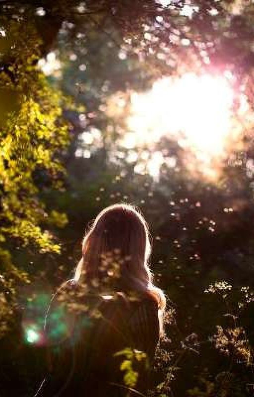 Ничего лишнего