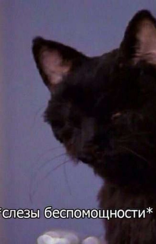 Smile and card house