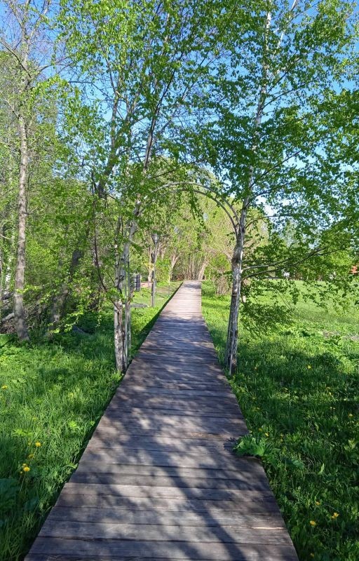 Путь Лоэрна