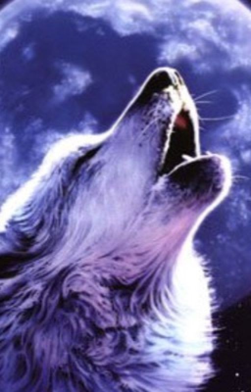 Невеста альфы