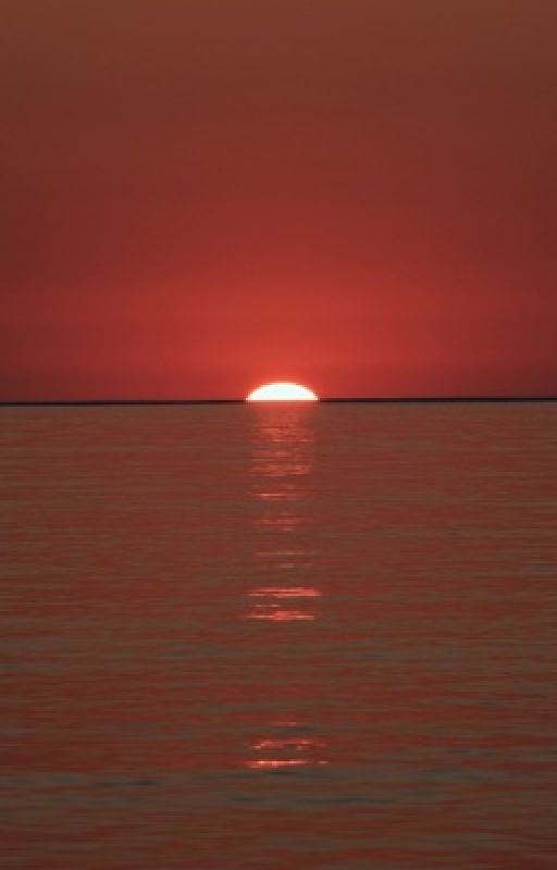 Наше лето, Или 1461 день. Слишком сильные чувства