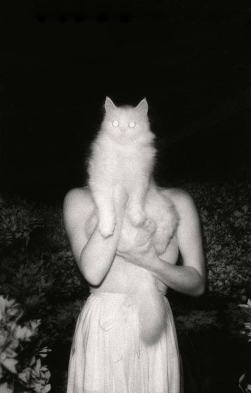 аркан насилия