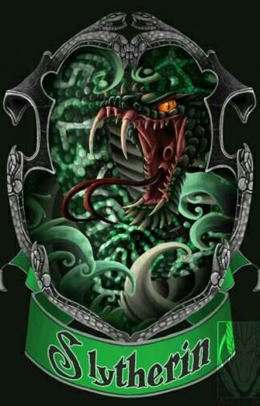 Мы  аристократы курс 1