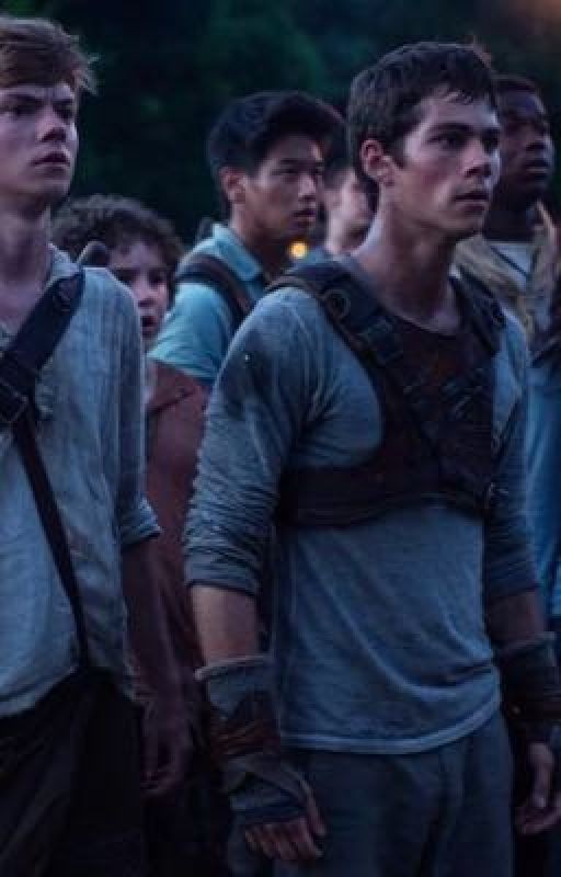 Бегущие в лабиринте