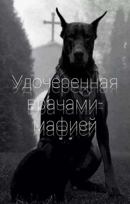 Удочеренная врачами- мафией (Заброшен)