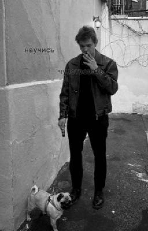 Научись чувствовать