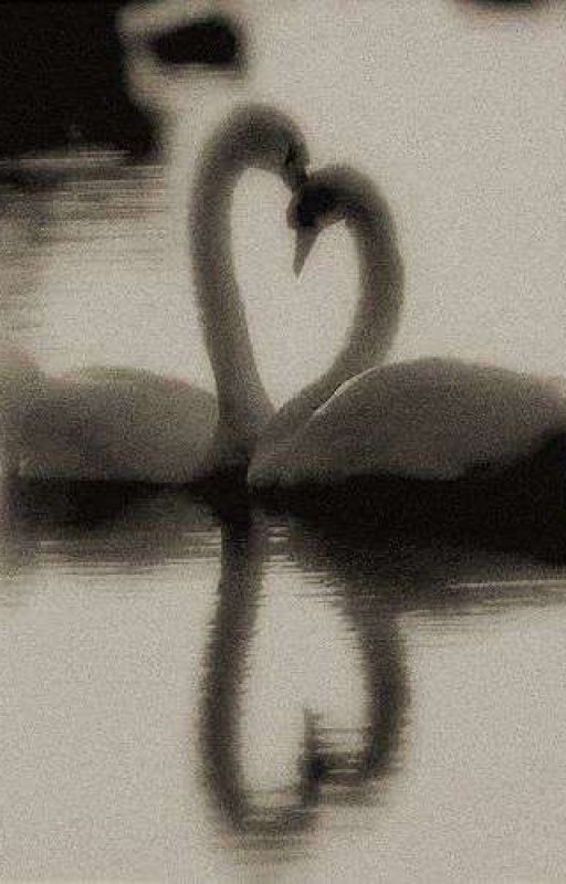 Созвездие любви.Дети леса