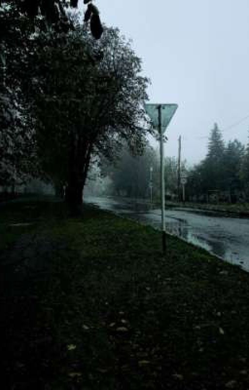 Орден защиты. Начало