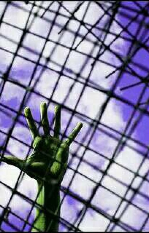 Сталкер.Свобода!