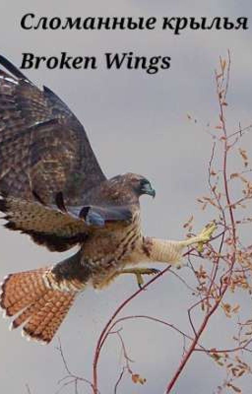 Сломанные крылья. Broken Wings