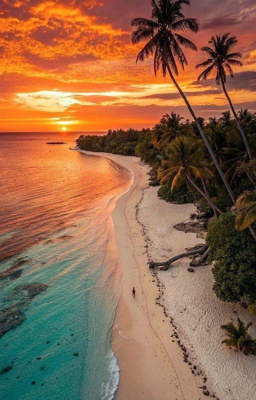 Саундтрек из пуль и регги