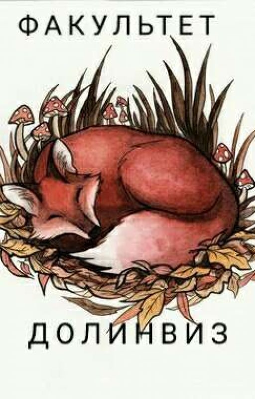 Факультет Долинвиз